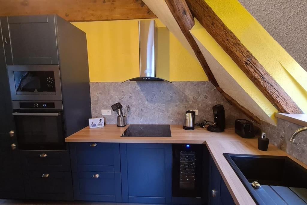 Duplex Centre - Le Marche Apartman Obernai Kültér fotó